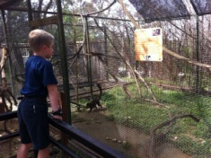 2012-04-09-05-Austin Zoo with Ian.jpg